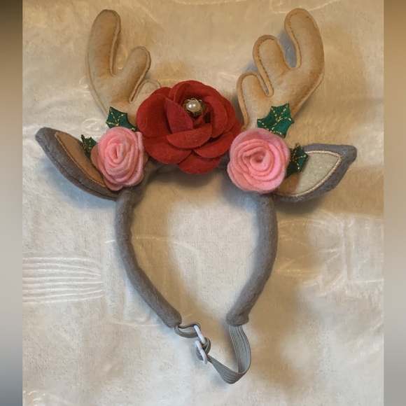 Dog and cat accessories - Picture 6 of 9